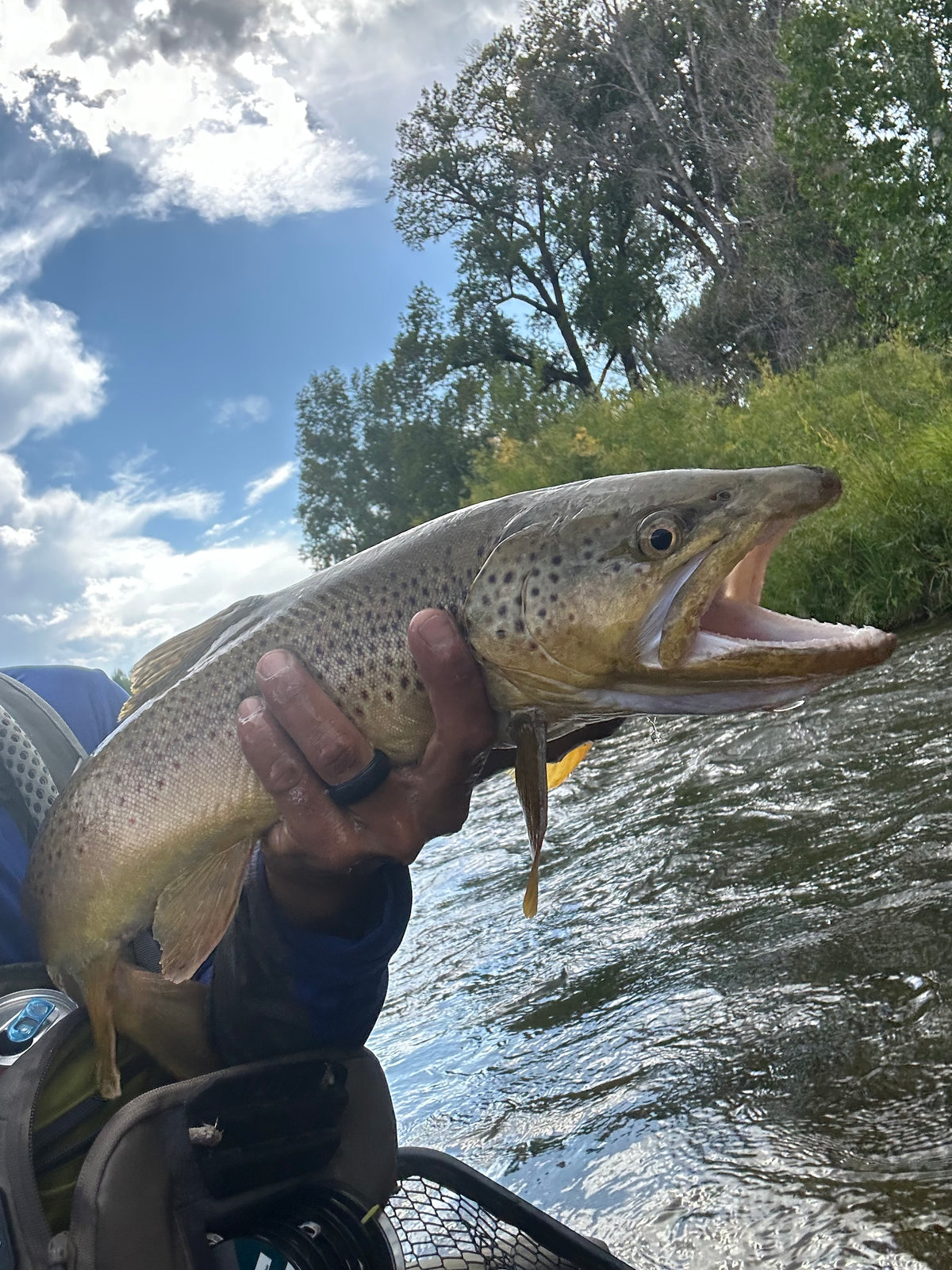 White River, Arkansas