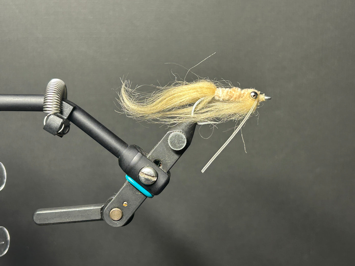 Squimp Fly